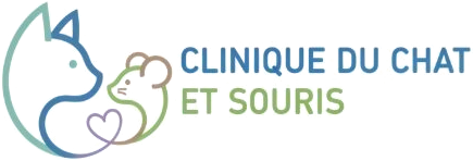 Clinique du Chat et Souris